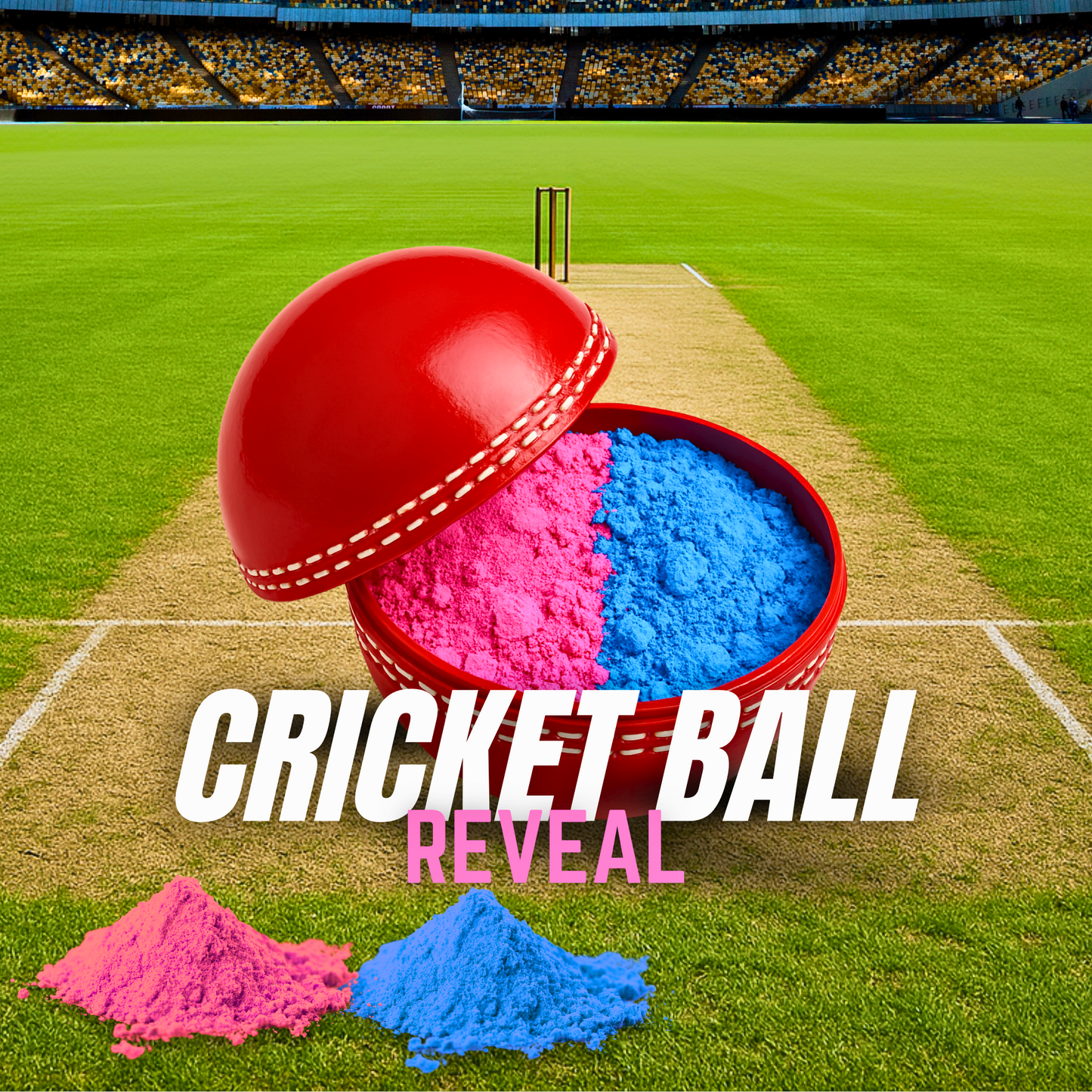 Gender Reveal Cricket Ball