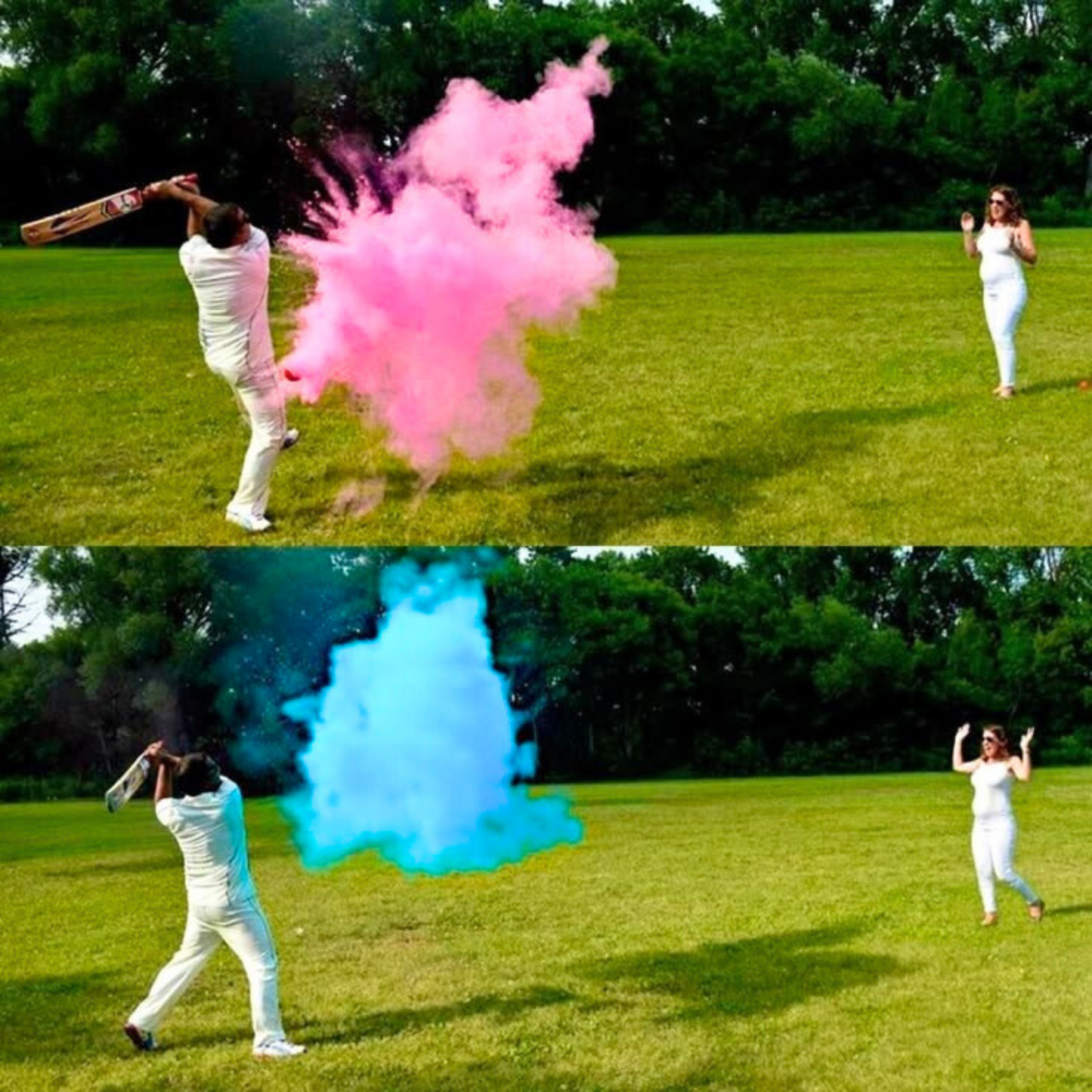 Gender Reveal Cricket Ball Pink and Blue Powder Explosion For Gender Reveal Party