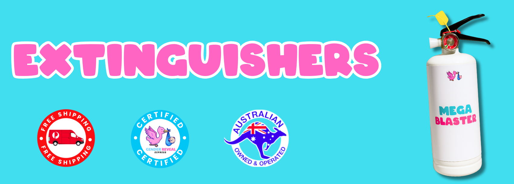 Gender Reveal Extinguishers