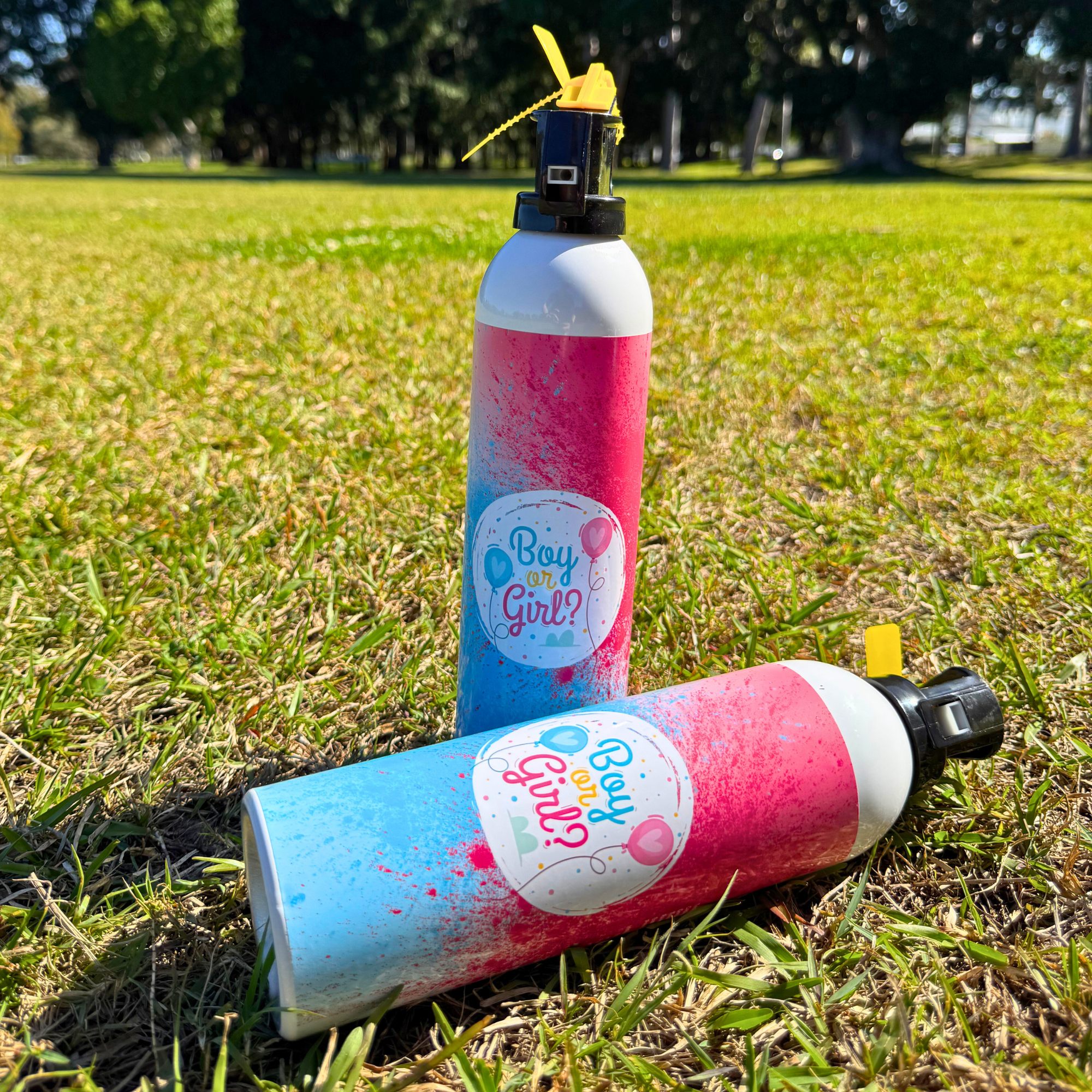 Gender Reveal Mini Blaster Extinguisher Gender Reveal Party 